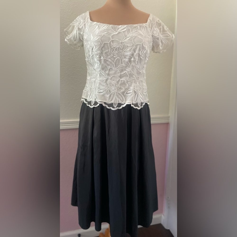 Alex Evenings Gown size 6